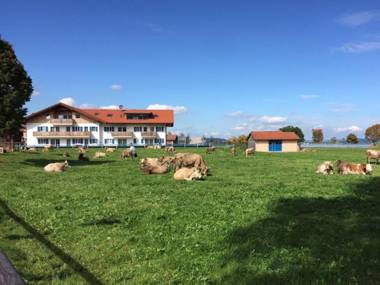 Allgäustüble am See