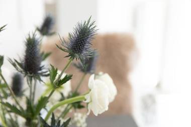 Ferienwohnung Am Stadtpark