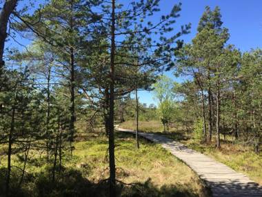 Pension und FEWO Liesbachtal direkt am Waldrand Bayerische Rhön