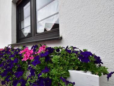 Spacious Holiday Home in Menkhausen near Ski Area