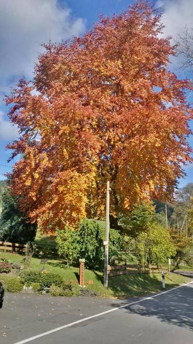 Ferienwohnung Krähling