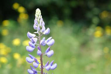 Ehrentaler Ferienhaus GbR