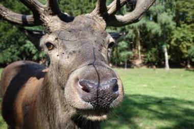 Ehrentaler Ferienhaus GbR