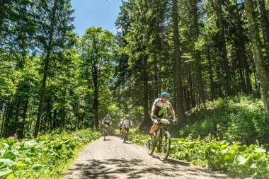 Kurhotel Schluchsee App 1103 - das mit der Kuckucksuhr mit Indoorpool Hochschwarzwaldkarte Schluchsee