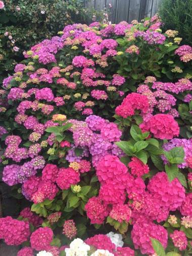 Hotel Bed & Breakfast am Dom