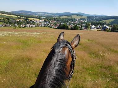 Gutshof Schirgiswalde