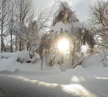Ferienwohnung am Kneipp-Park