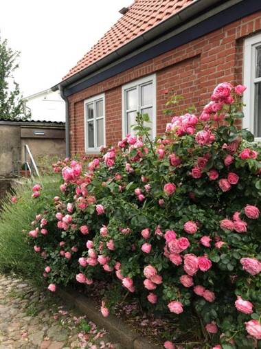 Ferienwohnung Zum Strandvoigt