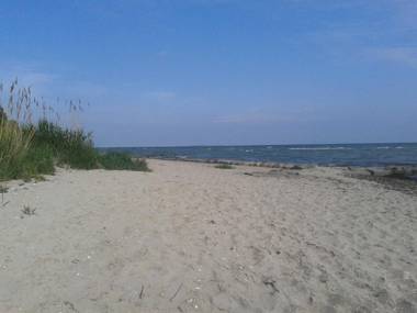 Appartements Villa Drachenberg