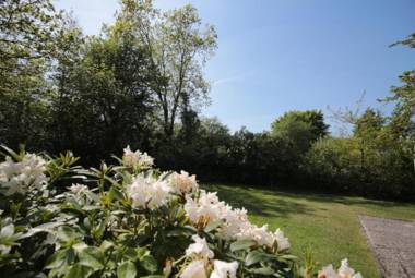 Waldstraße 10 - FeWo 4