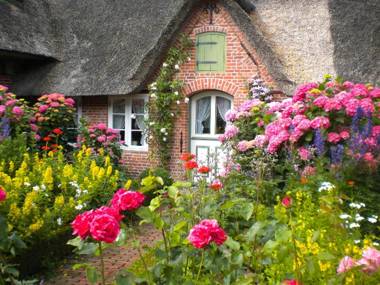 Reetdachhus an de Diek