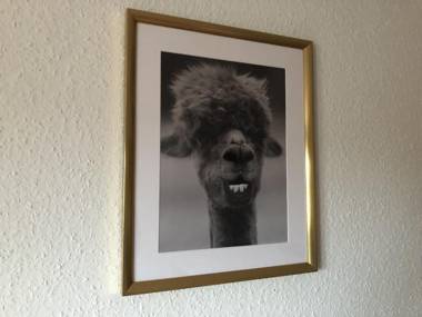 Ferienwohnungen Camping SPO OHG