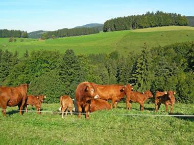 Ferienwohnung Meierhof
