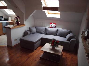 Attraktive FeWo in Rosenthal am Rennsteig