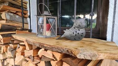 Urlaub beim Filmemacher Thomas Junker