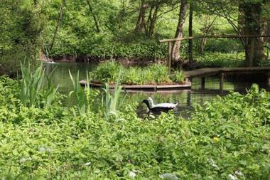 Ferienwohnungen v. Knoerzer-Suckow