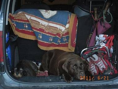 Forsthaus Röthelmoos