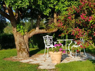 Ferienwohnung am Rennsteig