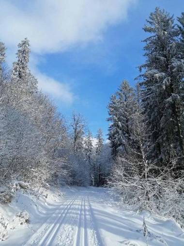 Ferienwohnung Reitinger