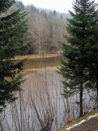 Ferienwohnung Reitinger