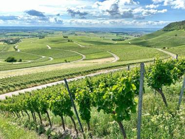 Gasthaus Winzerstube & Hotel