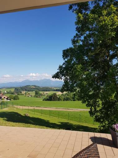 Berg Hotel Weingarten