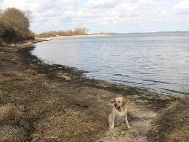 Ferienhaus Rügenblick