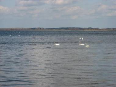 Ferienhaus Rügenblick