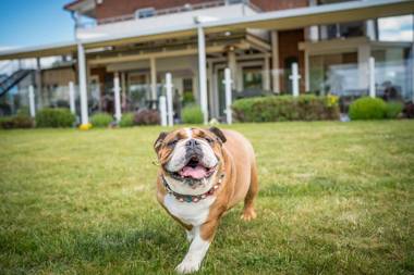 Ferienzentrum Yachthafen Rechlin