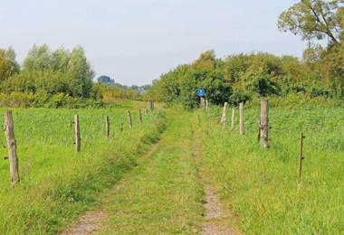 Ferienwohnung Rechlin SEE 9081