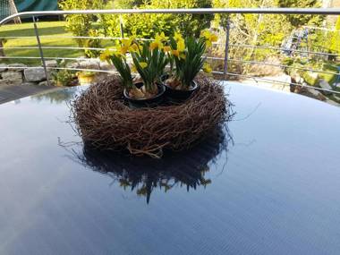 Business Apartment Ravensburg - sonnig zentral & ruhig