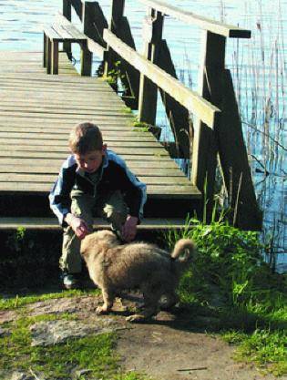 Hotel Farchauer Mühle