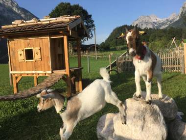 Vorderponholz Ferienwohnungen