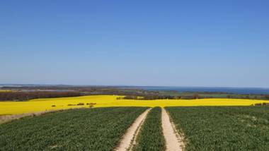 Apartments Fürstenvilla Putbus