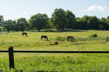 Hafenresidenz Alter Speicher Rügen