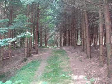 Ferienhaus "Kleine Auszeit"