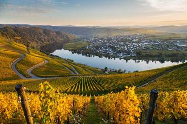 Hotel- Weingut- Moselloreley