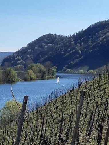 Hotel Café Alt-Piesport