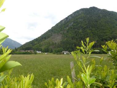 Dopplerhof's Staufenhaus