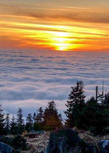 Ferienhaus Bayerwald