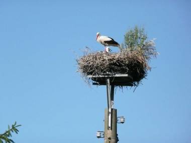 FLOATING HOUSES Classic _ Kroeslin