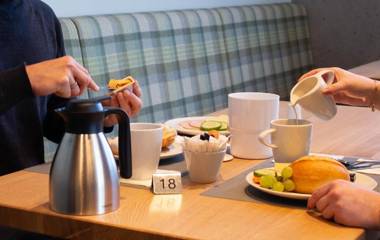 Kedi Hotel Papenburg