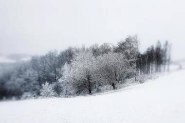 Ferienwohnung am Atelier Horn