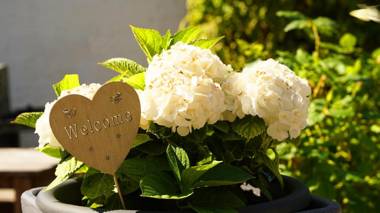 Ferienwohnungen Buchenweg