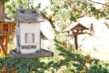 Alte-Strandvogtei-Sellin-Garten-Bungalow-1-direkt-im-Herzen-vom-Ostseebad-Sellin