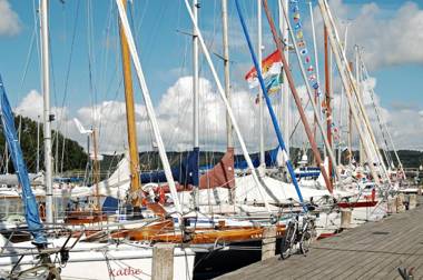 Vergissmeinnicht Studio 2