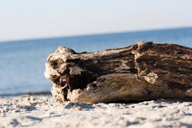 Ferienwohnungen Strandvilla Börgerende