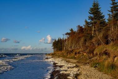 Villa Christiana - Aster