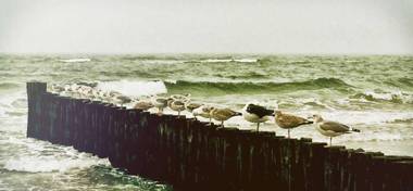 BERNSTEIN Penth Nr 34 max 3 Pers