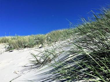 Bickbeeren FeWo BICKBEEREN Barbara Whg. 4